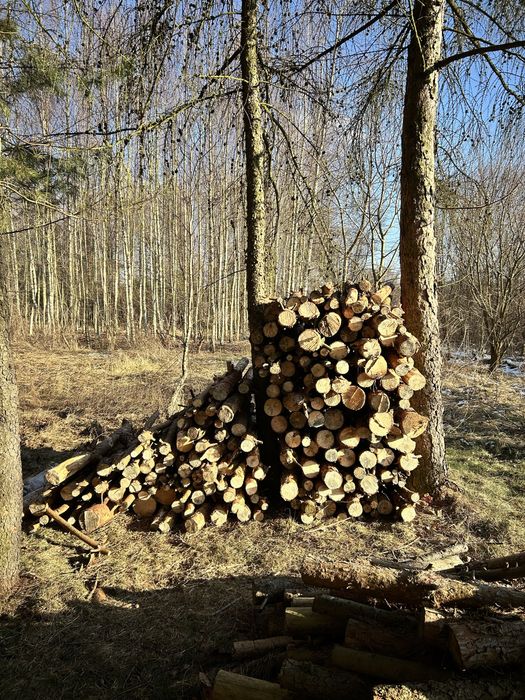Drewno opał sosna, sezonowane