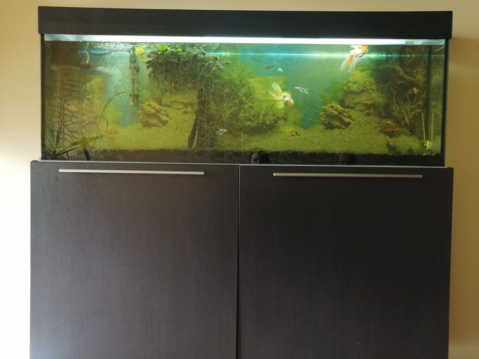 Акваріум на 120 літрів