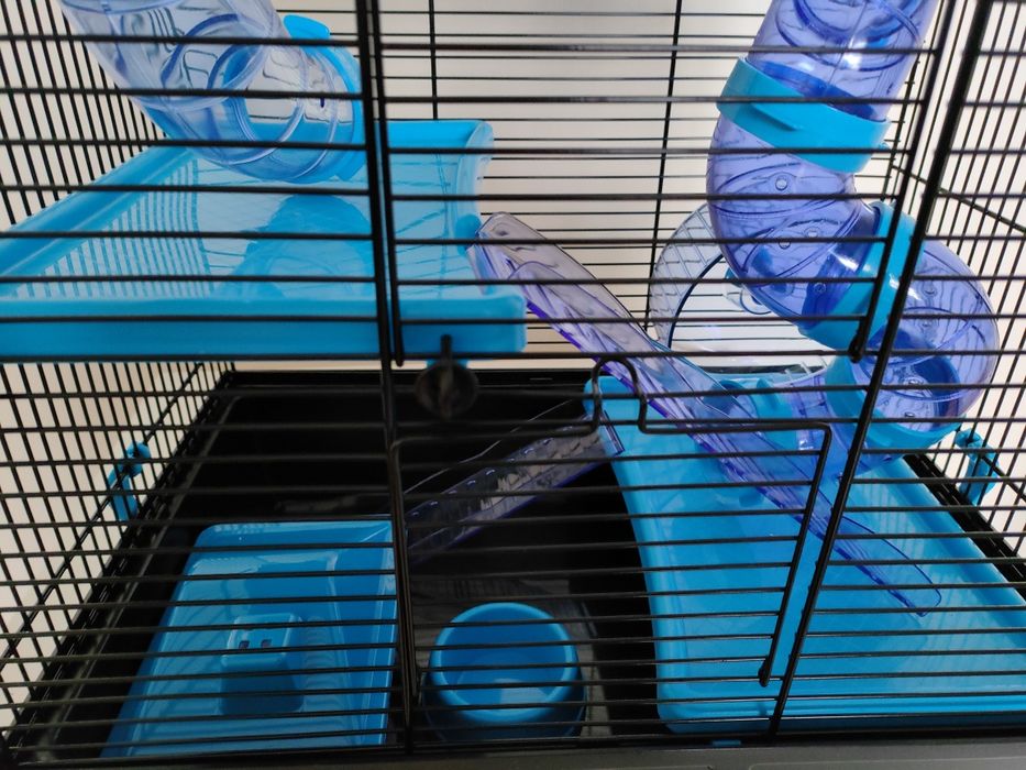 Klatka dla chomika gungalskiego z wyposażenie.