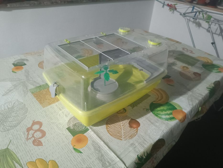 Tartarugueira grande em ótimo estado