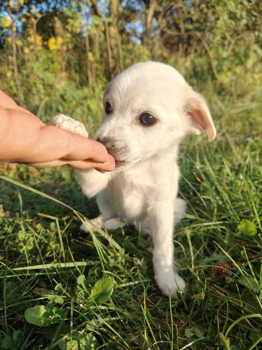 Na Wschodzie nie czeka mnie nic... Oprócz budy