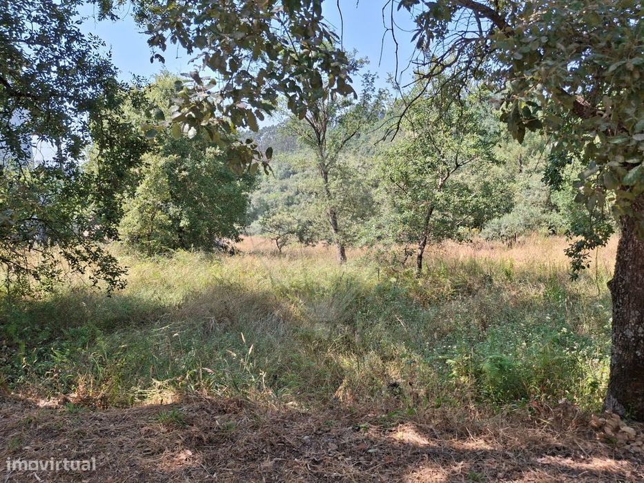 Terreno  para venda — Pombal, Leiria