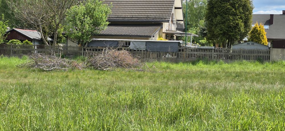 Oddam za darmo gałęzie .
