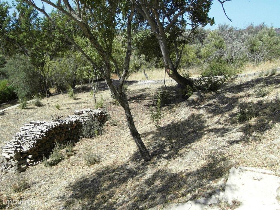 Terreno misto na Mexilhoeira Grande, Algarve