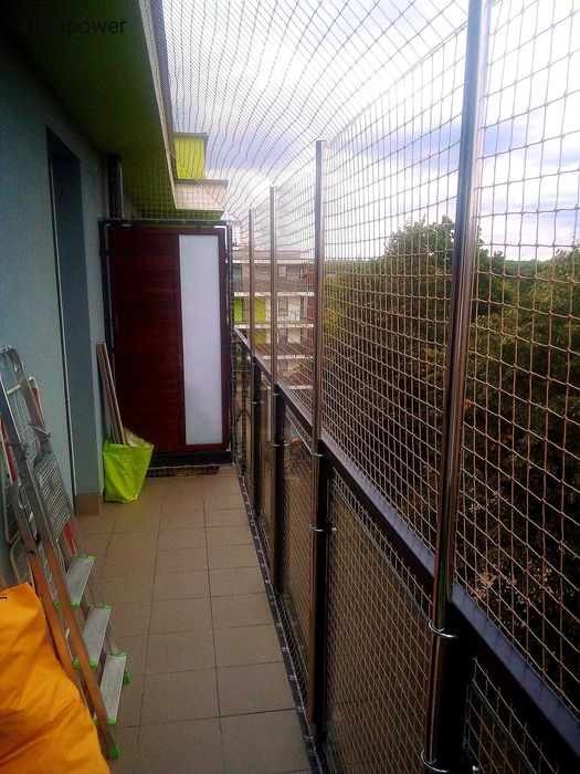 Siatka Dla Kota Na Balkon Okno Taras Montaż Przeciw Ptakóm Na Gołębie