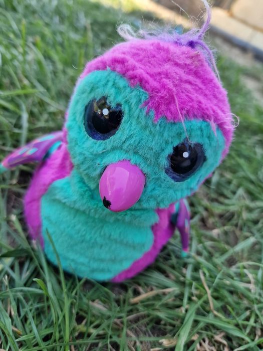 Hatchimals interaktywny