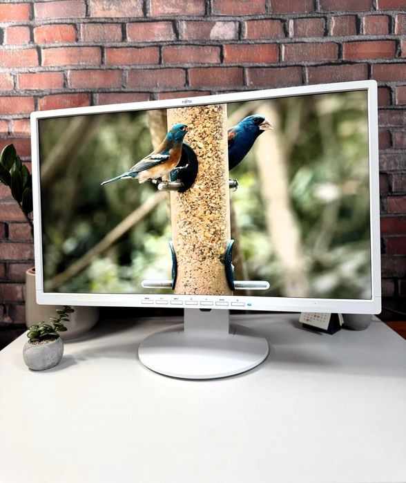 Монітор Fujitsu B24-8 TE Pro·FHD·LED·IPS·ОПТ·Роздріб·ПДВ та без·200ШТ