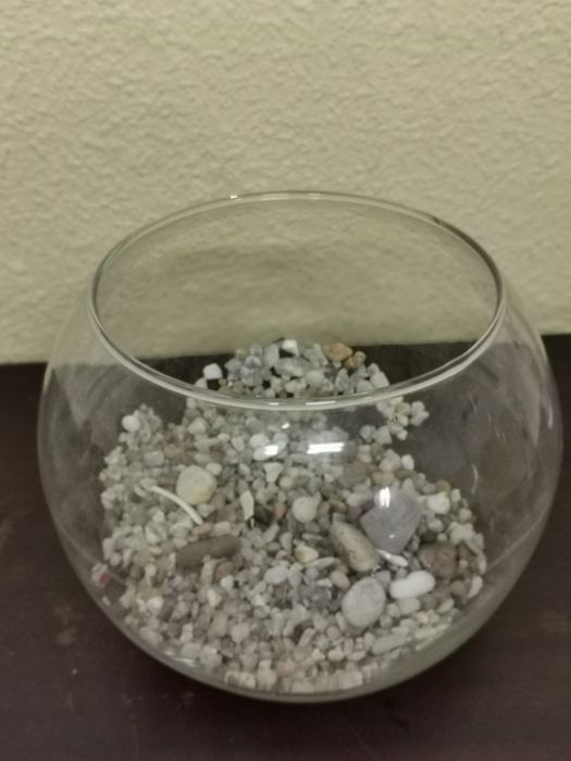 Aquário redondo para peixes