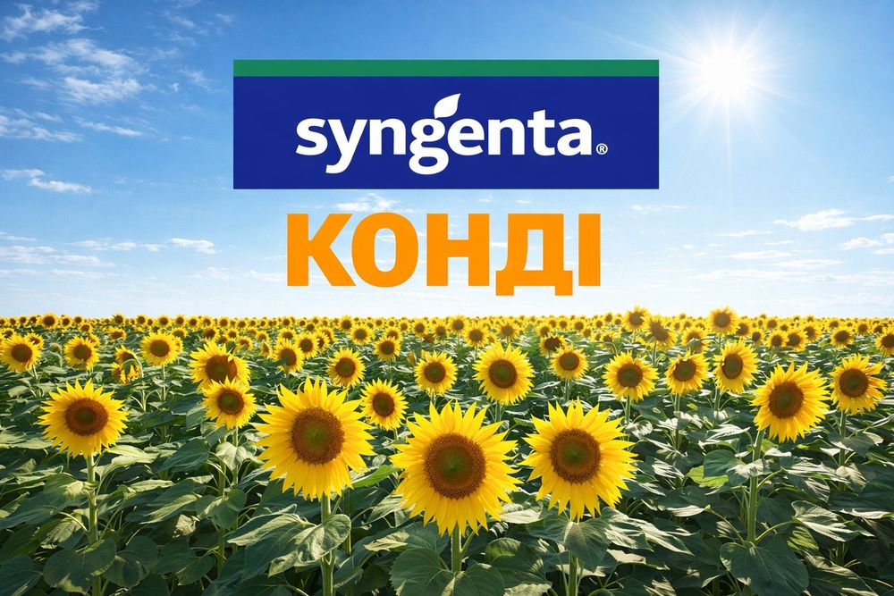 Насіння соняшника