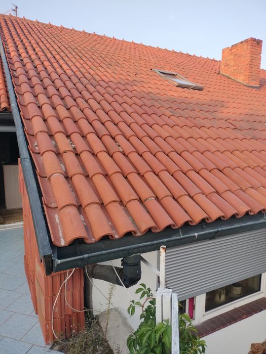 dachówka Gronowo  Mnich Mniszek Mniszek