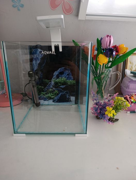 Akwarium kostka plus lampa i grzałka