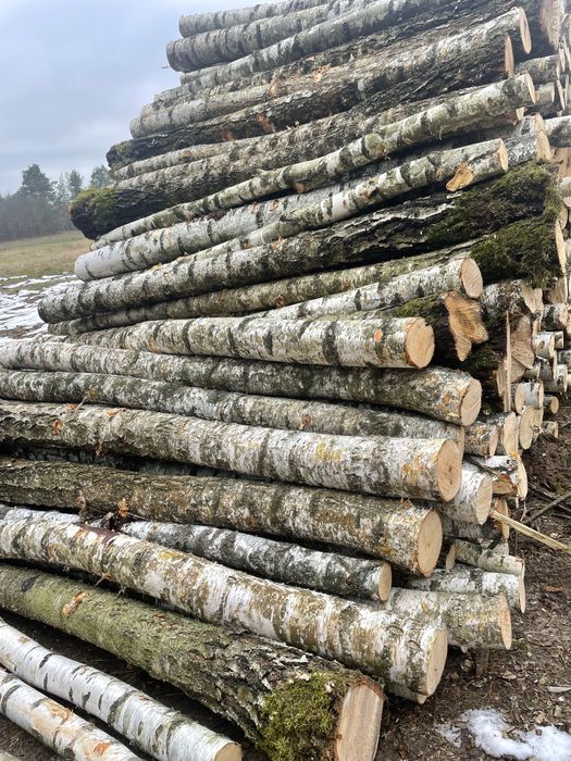 Drewno opałowe metry, wałki