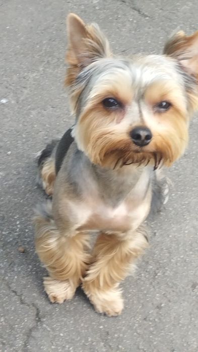 Хлопчик 3 кг, в'язка