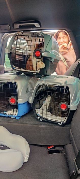 Одесса Кишинёв перевозка посылок вещей чемоданов с пасажирами в Молдов