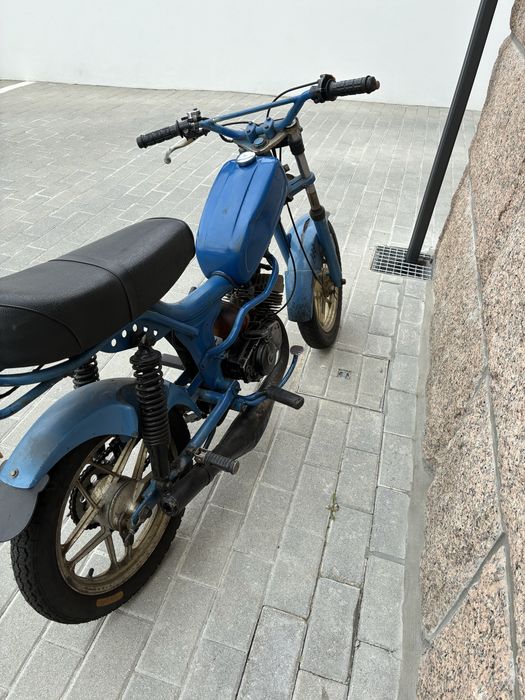 Vendo casal fundadora 2 k-168