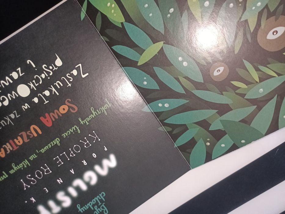 Drugie urodziny Prosiaczka Płocińska