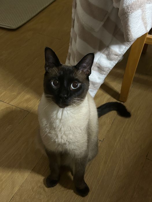 Leva me para casa!!!