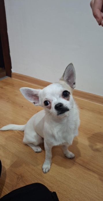 ZAGINIONY! pomóż odnaleźć