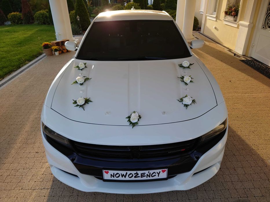 Auto Samochód Ślubu Chrysler 300C 300S 200S Cabrio i Dodge CHARGER