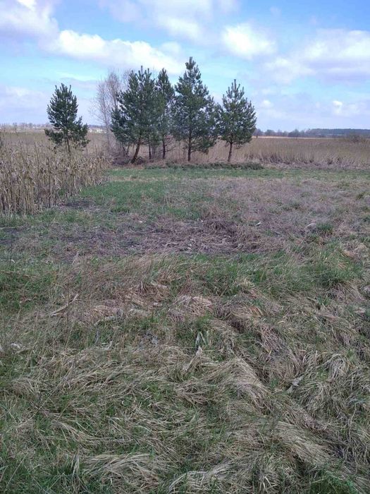 Продам будинок зі зручностями село Червоне