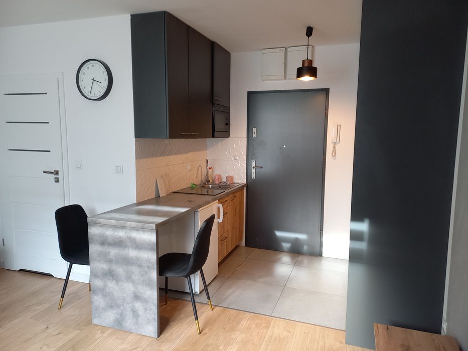 Ul. Legnicka.Kawalerka w apartamentowcu Legnicka Street