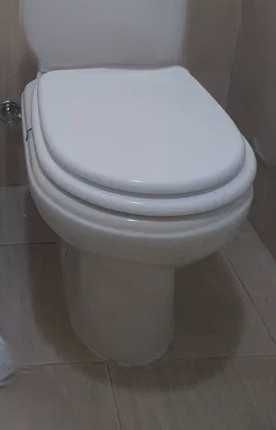 Sanita sem Autoclismo