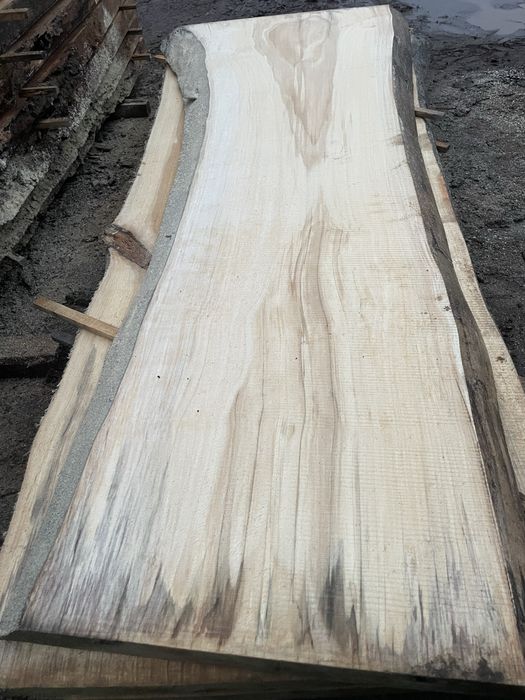 Szerokie monolity blaty brusy topolowe 120cm deski drewniane topola