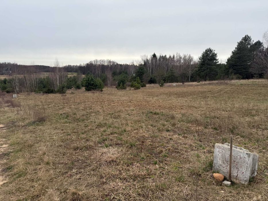 Działka NIEWODNICA KOŚCIELNA budowlana 1012 m² | MPZP | widok na las