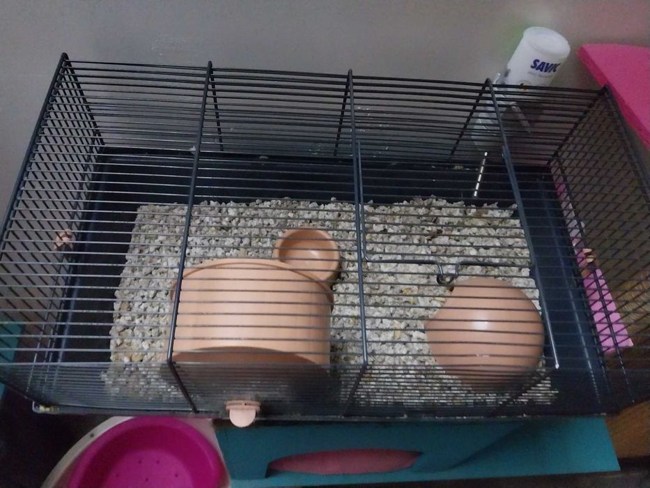 Gaiola para hamster completa - como nova