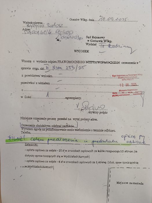 Spodenki chłopięce Puma MID90S CARGO CHINO zielone nowe 176(XS)