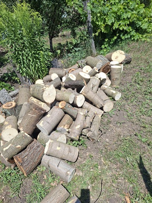 Продам дрова.        .