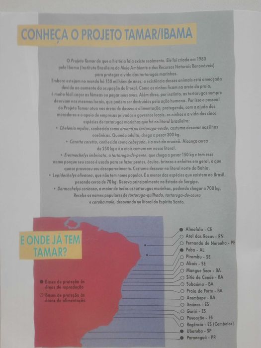 Livro: Na praia e no luar tartaruga quer o mar-aborda defesa natureza