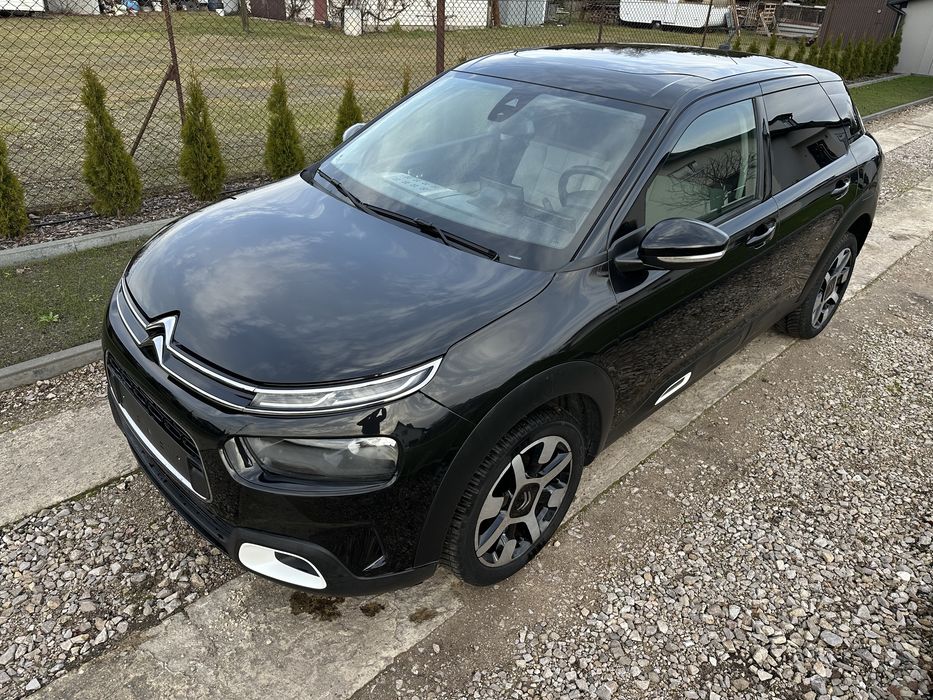 Citroen c4 cactus panorama exclusiv