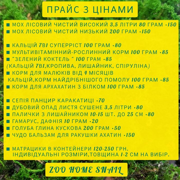 Ахатини малюки равлики Ahatina Reticulated Albino snail