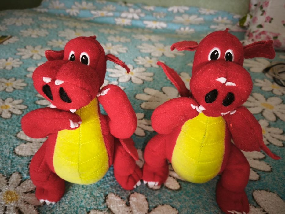 Два дракона близнеца, пара