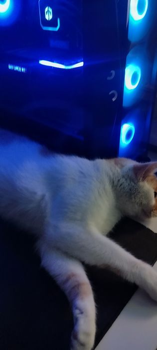 Kompurer gamingowy RTX 3060 Ti Ryzen 7 5800X