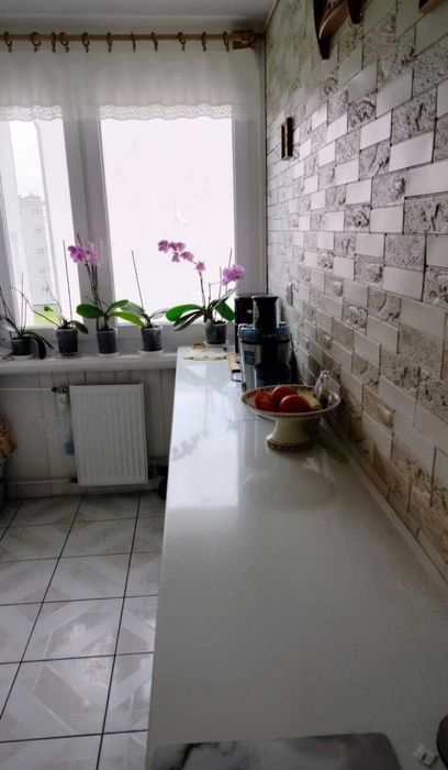 Zdjęcie 5