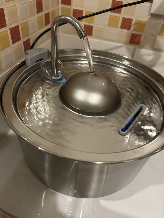 Bebedouro agua corrente