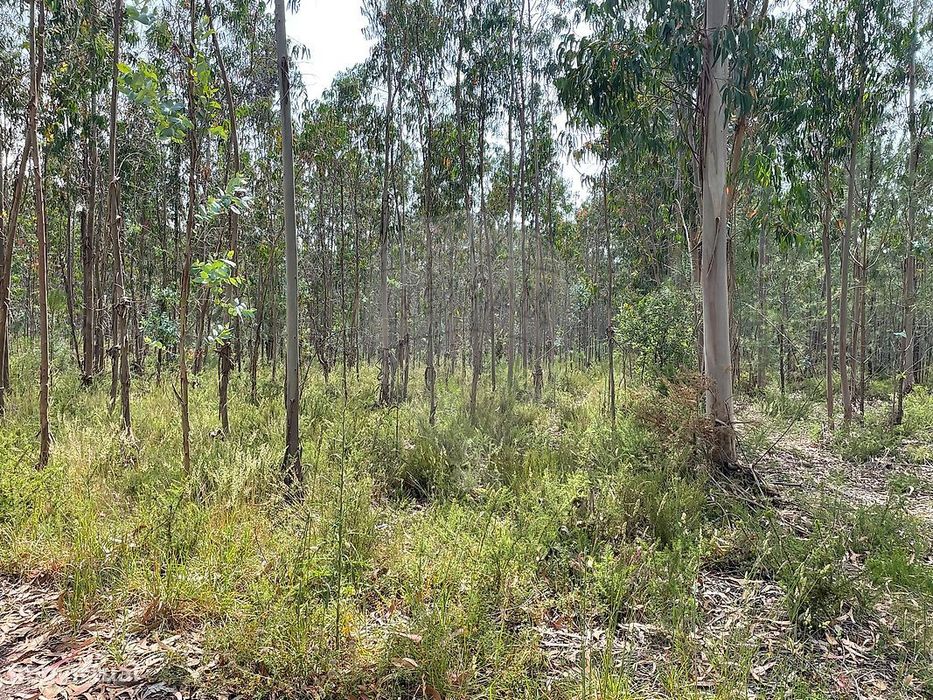 Terreno  para venda
