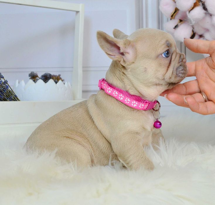 Прекрасні малюки у пошуках люблячих родин!!!