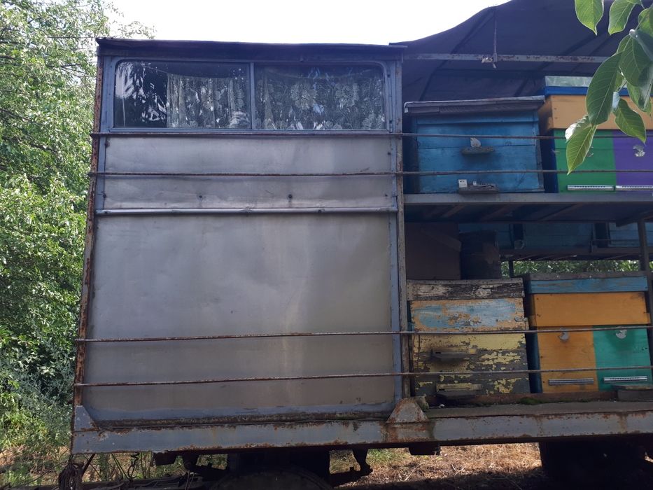 Павильен для пчел