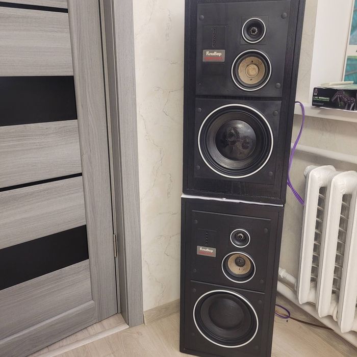 Акустична система  Клівер 100 АС 021 та посилювач звуку  Одисей У-010