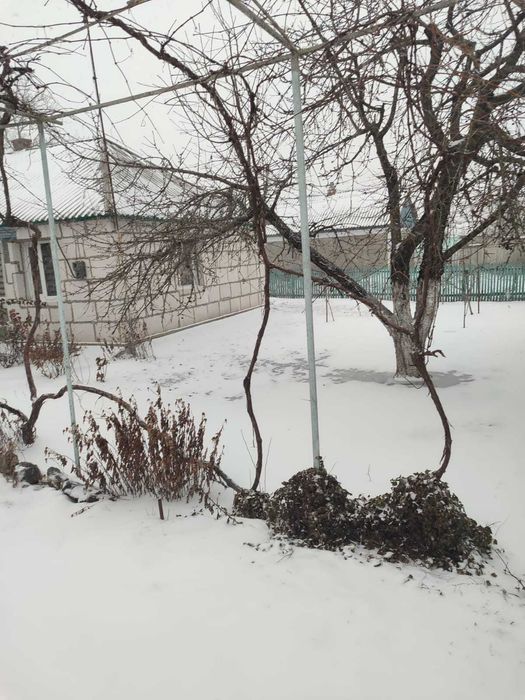 Будинок в селі Солтанівка Любашівського району Одеської області