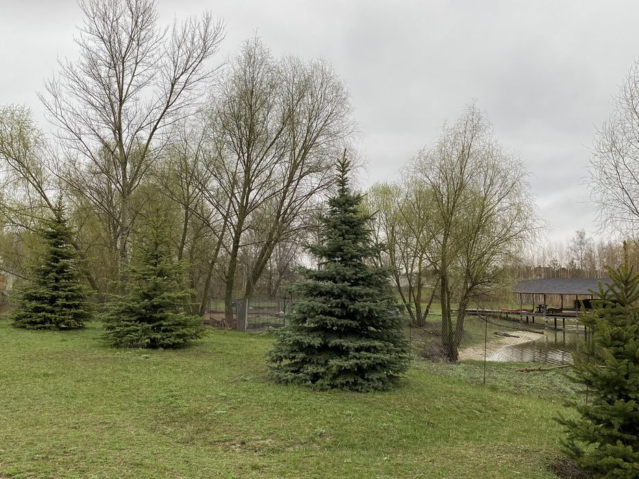 Приватне господарство  3 га