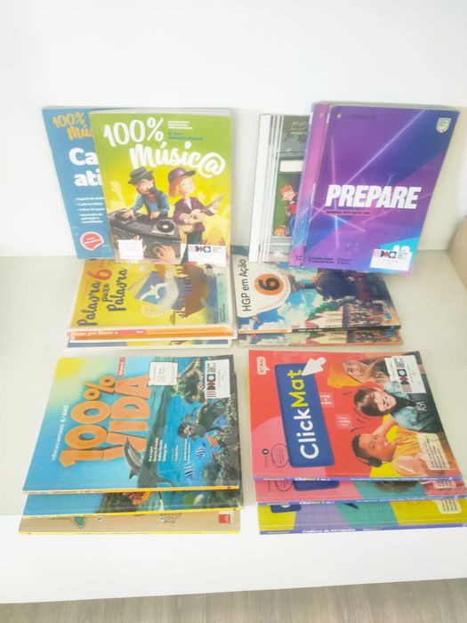 Livros manuais do 6o ano