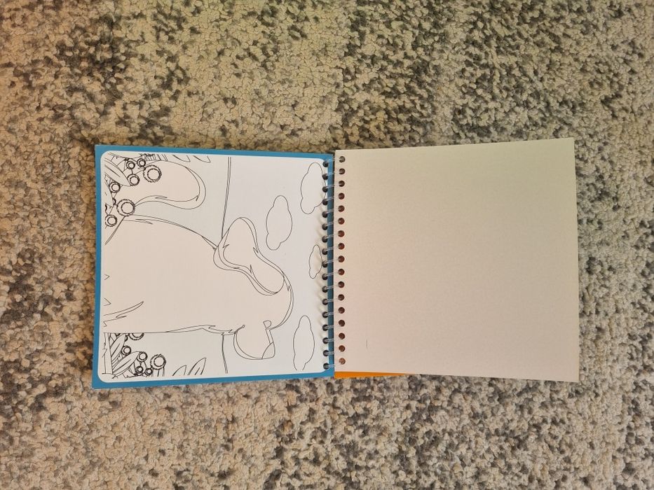 Kolorowanka wodna dla dziecka! Koty i psy