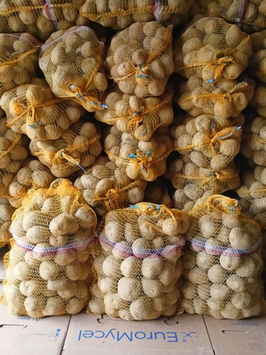 Ziemniaki Vineta worek 15 kg