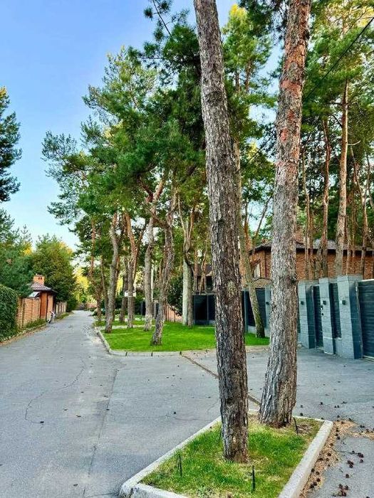 Продажа уникального участка в лесу Обуховка Кировское р-он Коляды