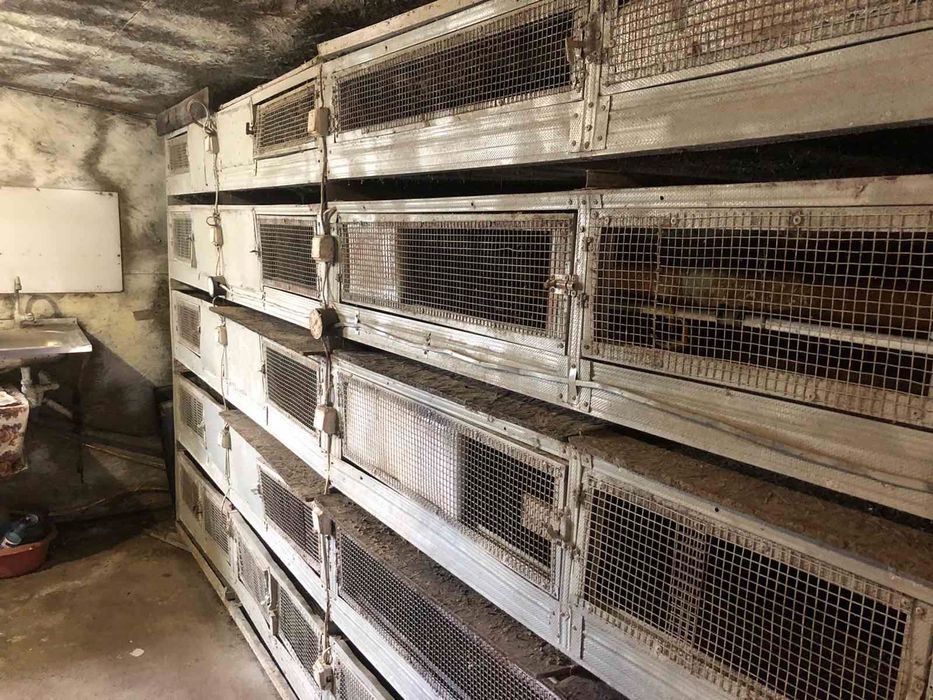 Територія для ведення сільськогосподарського бізнесу з обладнанням