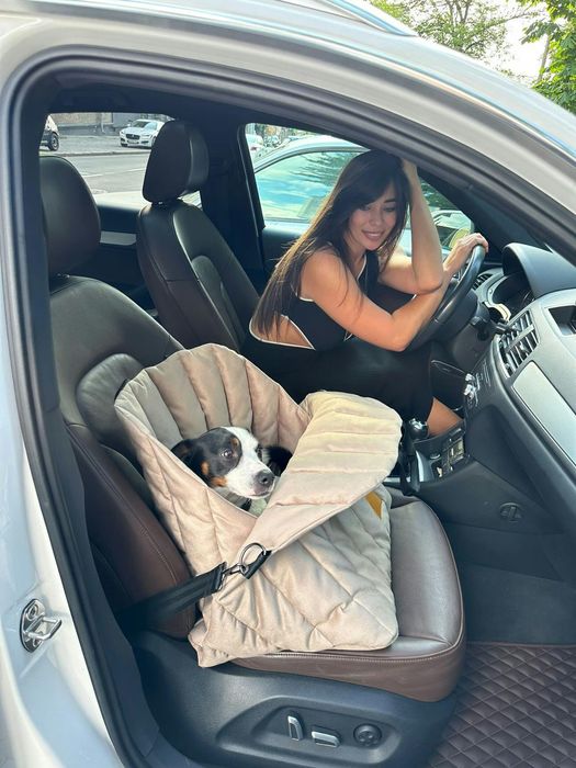 автокресло для собак lars and co